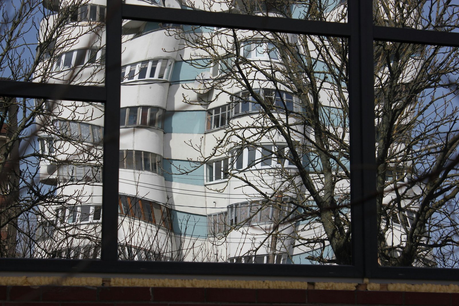 a reflection of a building in a window